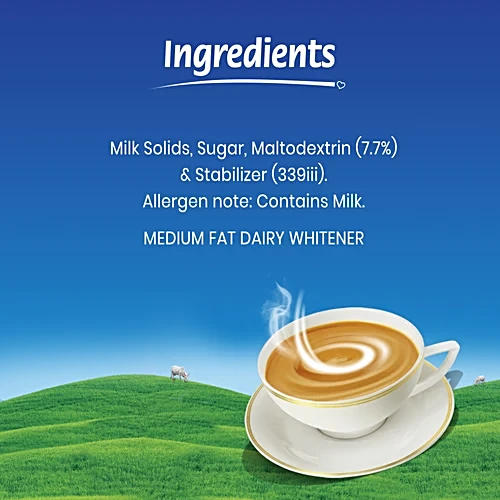 Nestle EveryDay Dairy Whitener, 400 g (Pouch)
