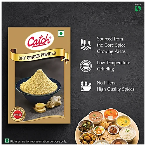 Catch Dry Ginger Powder, 100 g