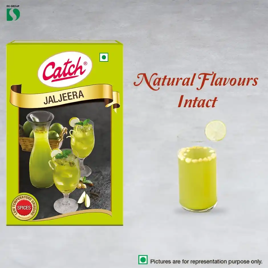 Catch Jaljeera Masala Powder, 100 g