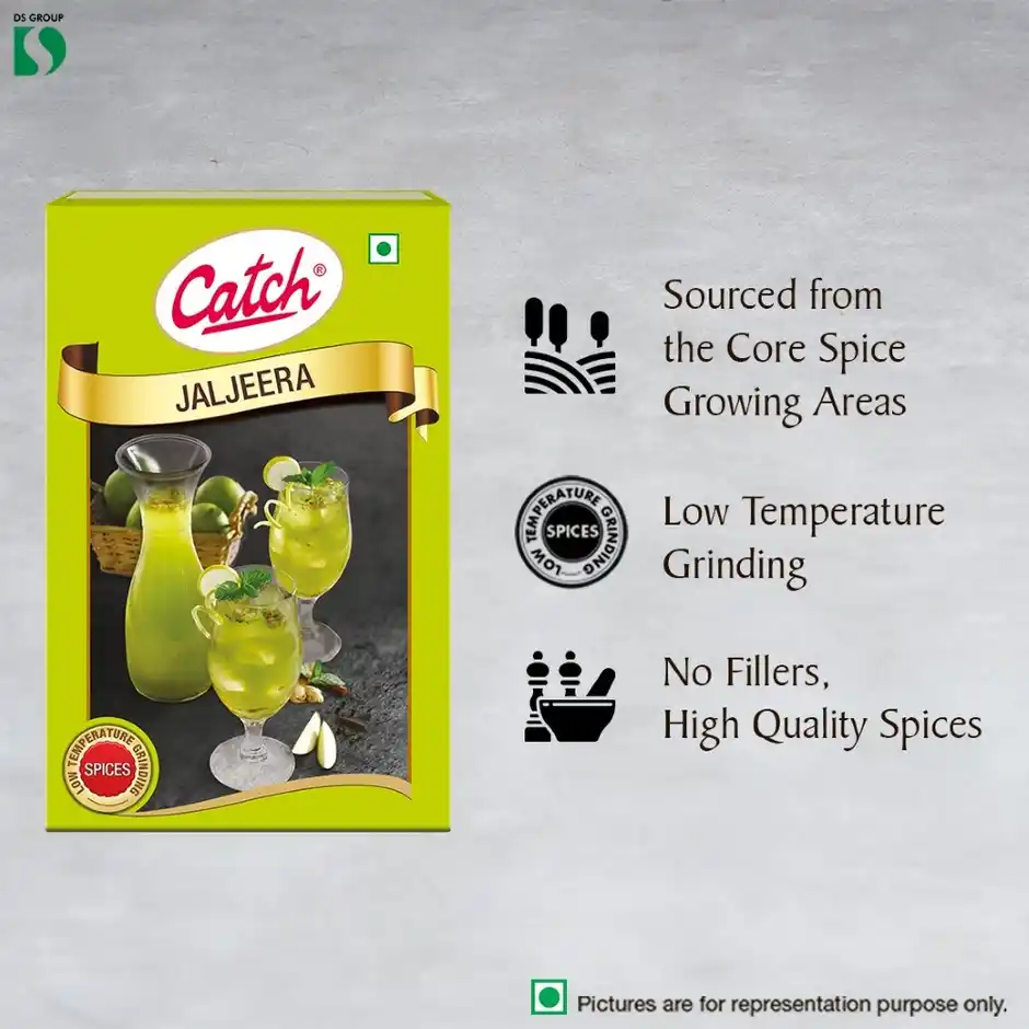 Catch Jaljeera Masala Powder, 100 g