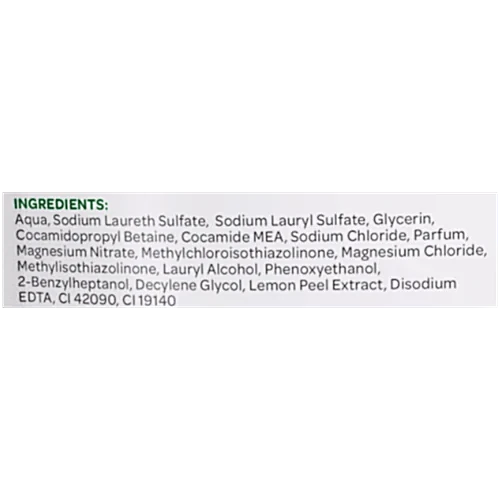 Godrej Protekt Germ Fighter Handwash Refill Pack - Lime & Eucalyptus, 725 ml