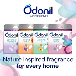 Odonil Mystic Rose Air Freshner, 72 g