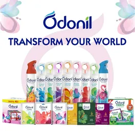 Odonil Mystic Rose Air Freshner, 72 g