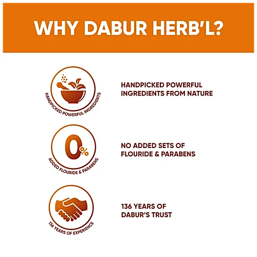 Dabur Herb'l Clove Cavity Protection Toothpaste, 200 g